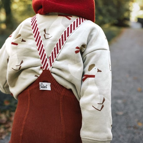 SILLY Silas_Cinnamon Christmas Patterned