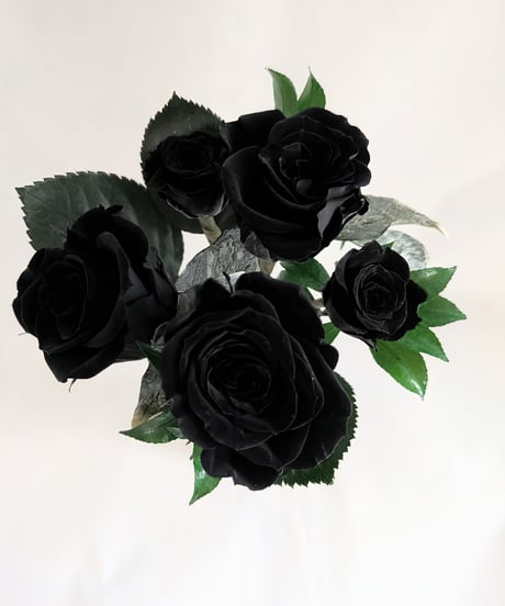 プリザーブドフラワー黒薔薇花束5輪／黒薔薇魔法発動中
