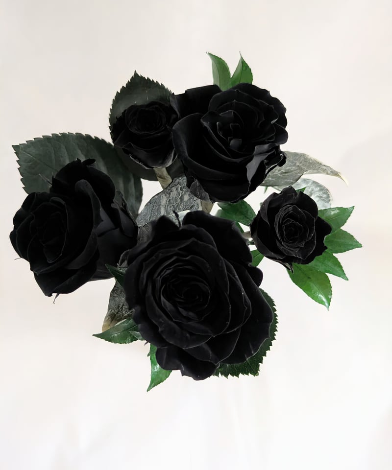プリザーブドフラワー黒薔薇花束5輪／黒薔薇魔法発動中 | 世都華
