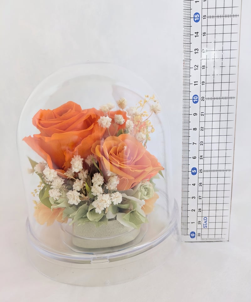 プリザーブドフラワー／オレンジの大輪の薔薇と小花のクリアドーム