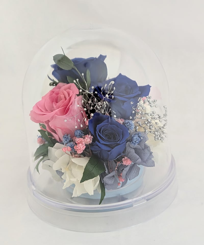 プリザーブドフラワー／ドームの中に咲く青とピンクの薔薇と小花の