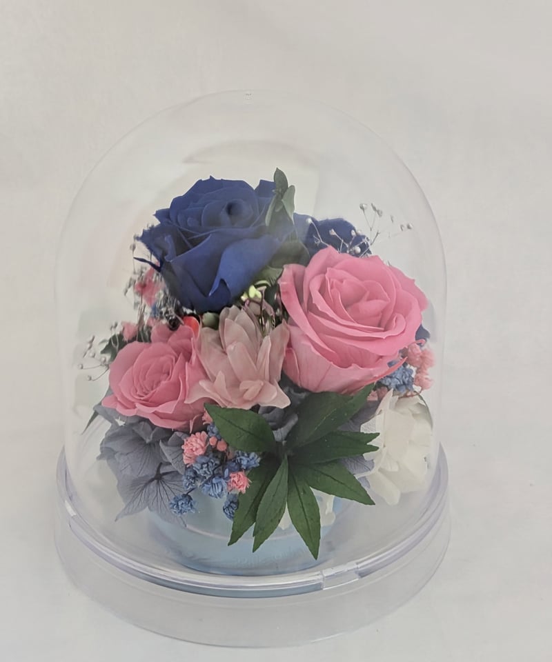 プリザーブドフラワー／ドームの中に咲く青とピンクの薔薇と小花の