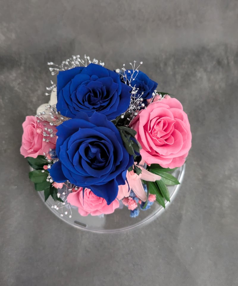 プリザーブドフラワー／ドームの中に咲く青とピンクの薔薇と小花の