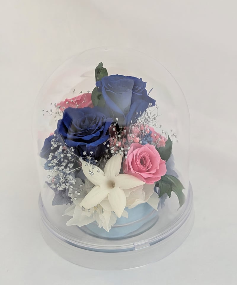 プリザーブドフラワー／ドームの中に咲く青とピンクの薔薇と小花の