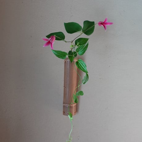竹工芸 | STORES