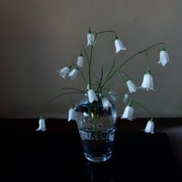 Akemi Kaminaga 瓶子ガラス花器
