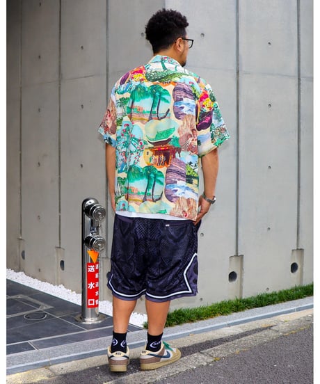 【A0026-203】■1950s  HAWAIIAN PICTURE PRINT ALOHA SHIRT■S/S SHIRT■