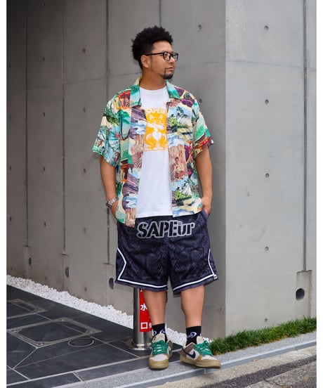 【A0026-203】■1950s  HAWAIIAN PICTURE PRINT ALOHA SHIRT■S/S SHIRT■