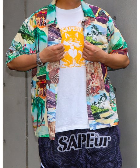 【A0026-203】■1950s  HAWAIIAN PICTURE PRINT ALOHA SHIRT■S/S SHIRT■