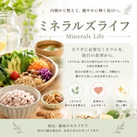 VMAミネラルズライフスタイルアドバイザー1day講座