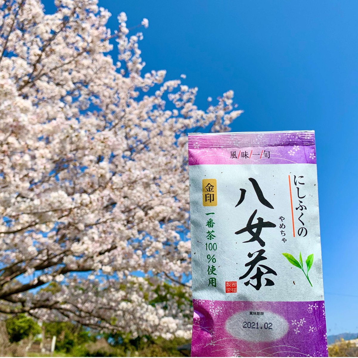 にしふくの八女茶 金印 80g（Nishifuku no Yamecha Kinjirushi