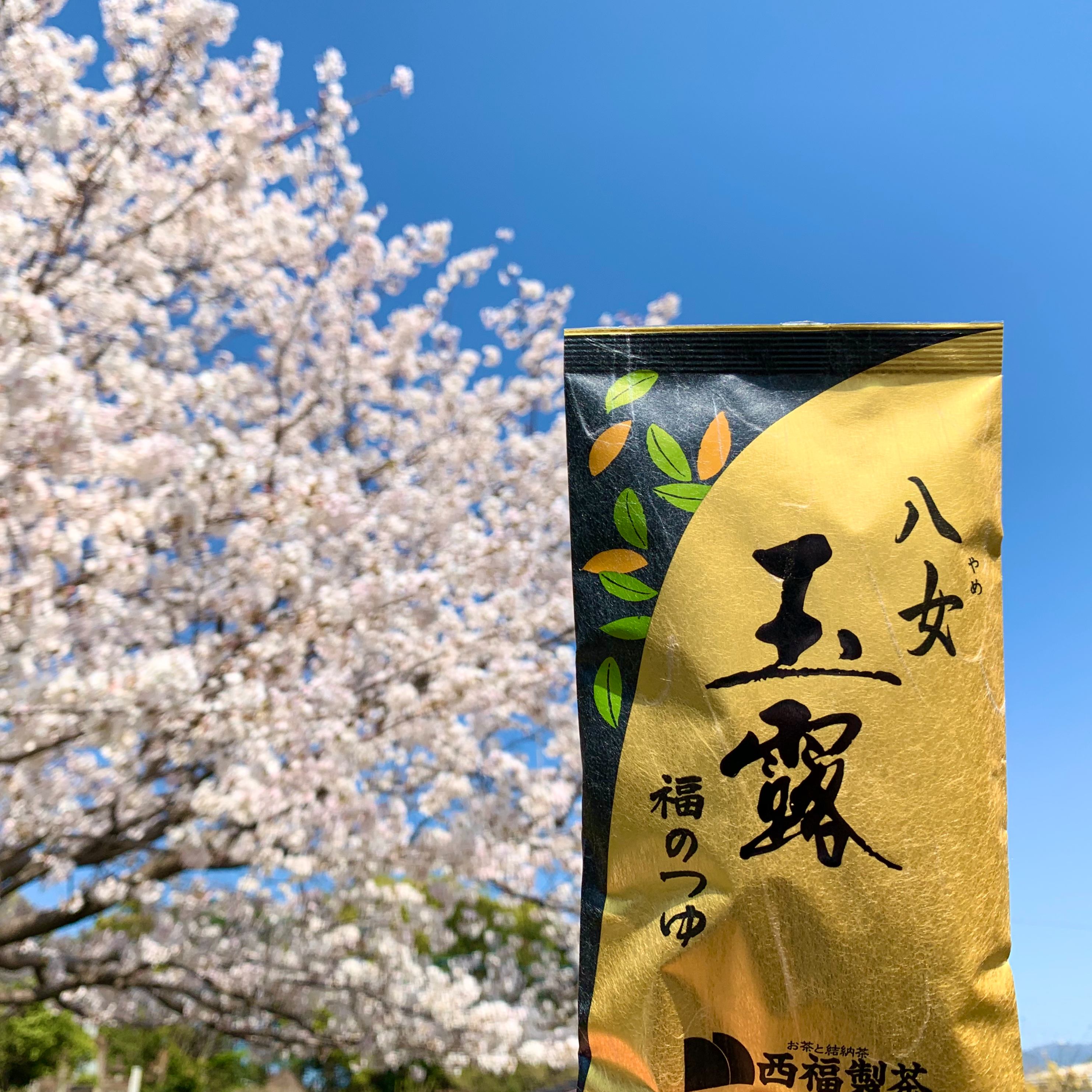 八女玉露 福のつゆ 90g（Yame Gyokuro Fukunotsuyu） | nishi