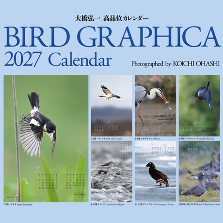 大橋弘一カレンダー　BIRD GRAPHICA2027