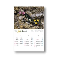 梅沢俊　うめしゅんのエコカレンダー　四季の花2027-2028   　【10月中旬発送予定】