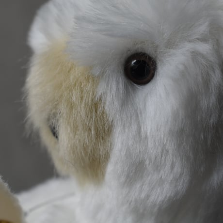 puppe くまのぬいぐるみ　小