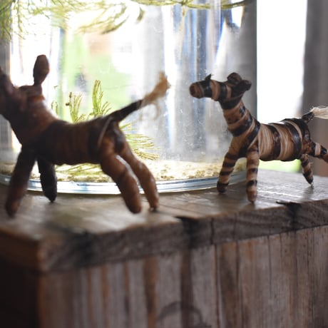 バナナ皮動物