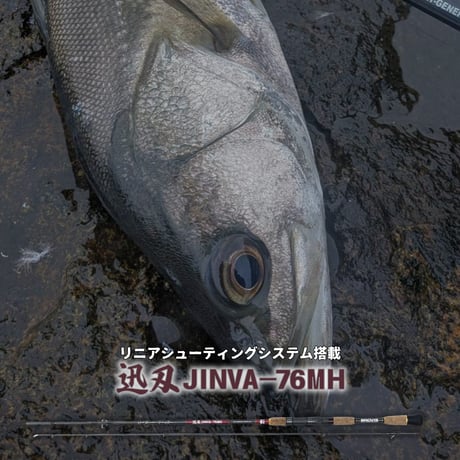 迅刃（ジンバ）【JINVA】76MH　（送料込み）・数量限定特典、ネクストスピン28✖︎2個