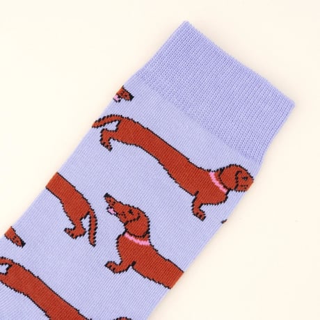 【Coucou Suzette】Dachshund くつした