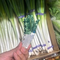 【Coucou Suzette】Leek ヘアクリップ｜当店限定　10月21日より販売開始