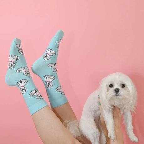 【Coucou Suzette】Bichon くつした