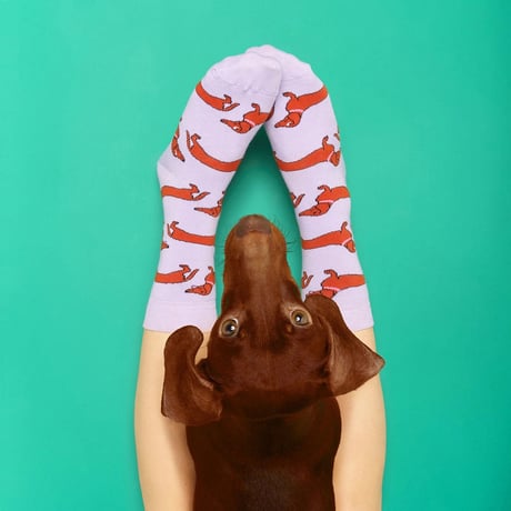 【Coucou Suzette】Dachshund くつした