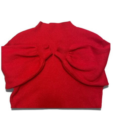 [USED] RED ドルマンニット
