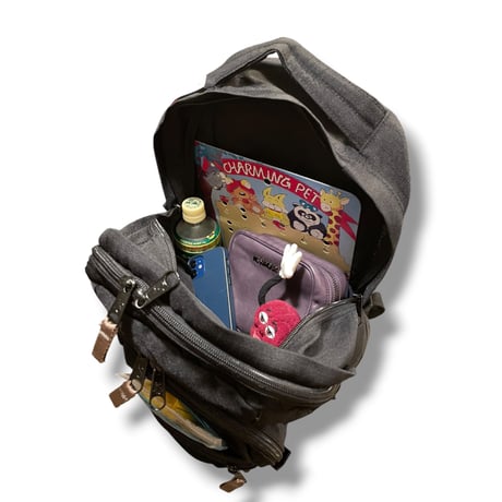 [USED]  "JANSPORTS" BackPack