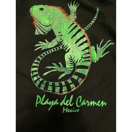 [USED]  Mexico スーベニアcottonパーカー