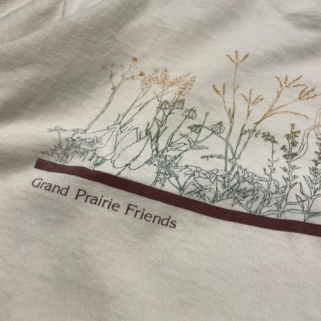[USED] 90s Grand Prairie Friends S/S TEE