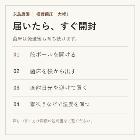 【送料無料！】おウチでシイタケ育てよう！椎茸菌床「大峰」1個
