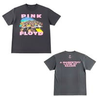 Mismatch NYC/”Pink Floyd”  hommage Tee