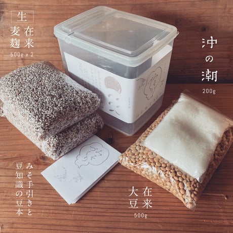 はじめてのみそづくりセット