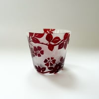 NOE Mielotar／41 のばらの垣
