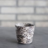 takero pot / サビ / ムシクイ (2.5号)  no.809-211