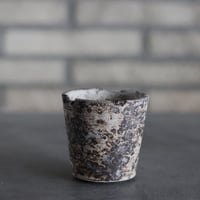 takero pot / サビ / ムシクイ (2.5号)  no.809-219