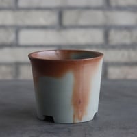 BIZENBACHI (備前鉢) ｜ BANKSIA WORKS (3.5号)  no.809-236
