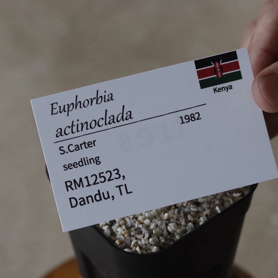 6a808cbfd132412eaa76f9b9