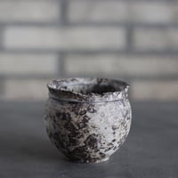 takero pot / サビ / ムシクイ (2.5号)  no.809-195
