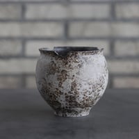 takero pot / サビ / ムシクイ (3.5号)  no.809-143