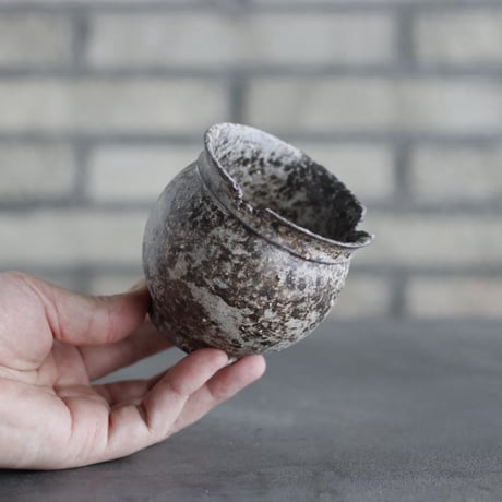 takero pot / サビ / ムシクイ (2.5号)  no.809-176