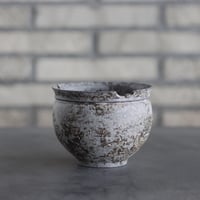 takero pot / サビ / ムシクイ (3.5号)  no.809-145
