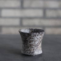 takero pot / サビ / ムシクイ (2.5号)  no.809-228