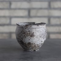 takero pot / サビ / ムシクイ (3.5号)  no.809-146