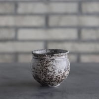 takero pot / サビ / ムシクイ (2.5号)  no.809-173