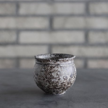 takero pot / サビ / ムシクイ (2.5号)  no.809-173