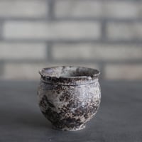 takero pot / サビ / ムシクイ (2.5号)  no.809-194
