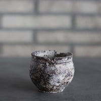 takero pot / サビ / ムシクイ (2号)  no.809-190