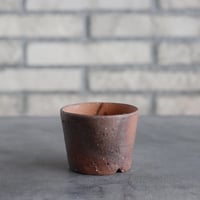 BIZENBACHI (備前鉢)｜BANKSIA WORKS (2.5号)  no.809-290