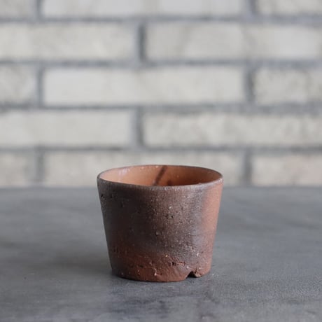 BIZENBACHI (備前鉢)｜BANKSIA WORKS (2.5号)  no.809-290