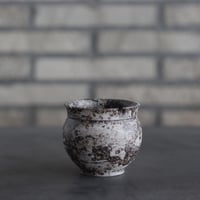 takero pot / サビ / ムシクイ (2.5号)  no.809-168